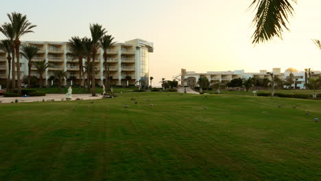 luxury five-star hotel in egypt, exterior shot at sunrise, pigeons walking in the garden