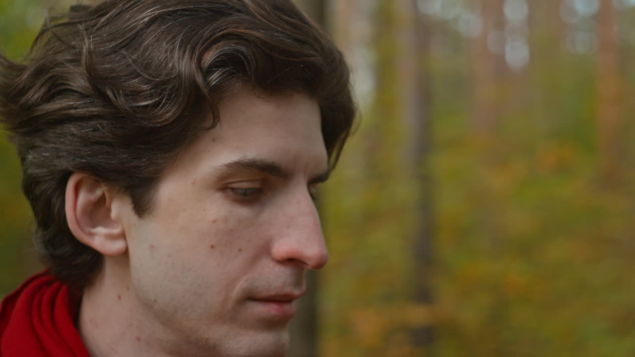 Images of a person in a forest with trees and nature