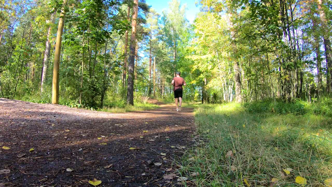 hombre trotando en el área del bosque durante el día soleado de verano