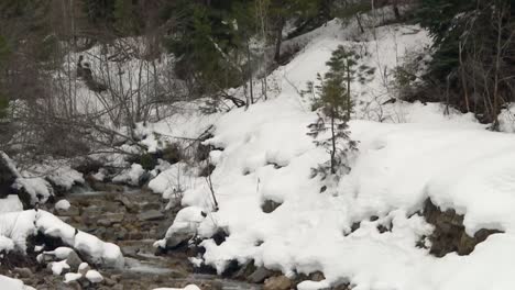 Río-Que-Fluye-A-Través-De-Rocas-Cubiertas-De-Nieve-En-El-Bosque-Nacional-De-Boise,-Idaho