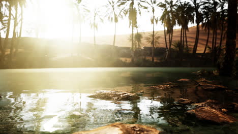 Escena-Colorida-Con-Una-Palmera-Sobre-Un-Pequeño-Estanque-En-Un-Oasis-En-El-Desierto