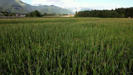 Dies-Ist-Ein-Zufälliges-Und-Wunderschönes-Dorf,-Das-Auf-Dem-Land-In-Slowenien-Gedreht-Wurde