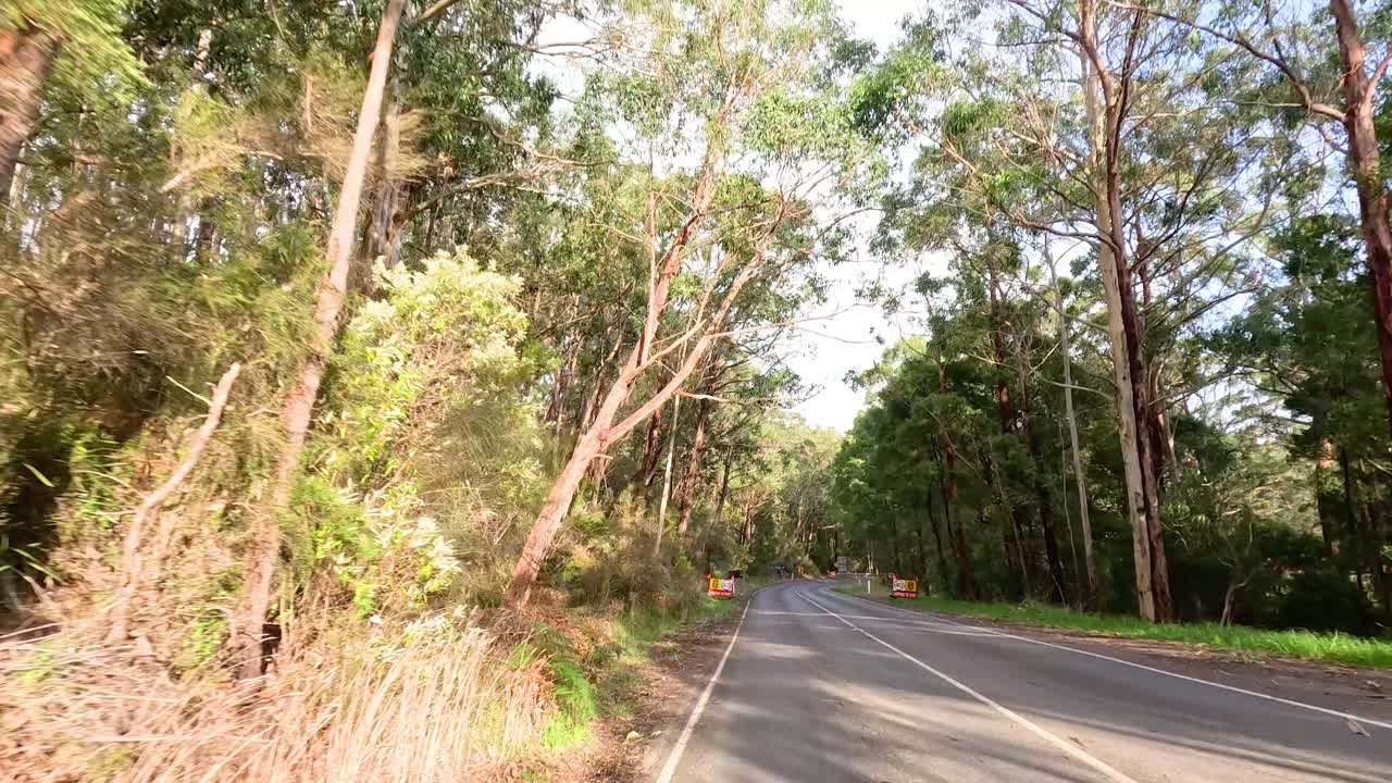 울창 한 숲 을 가로질러 운전 하는 것