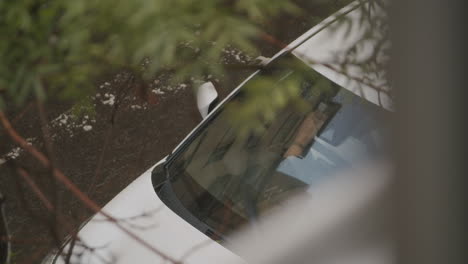 a person in a car in the rain