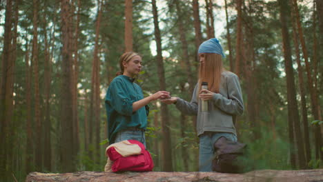 friends enjoy a peaceful moment in forest, one pouring warm drink from thermos for other, who smiles in appreciation, surrounded by tall trees, they share a bond in nature