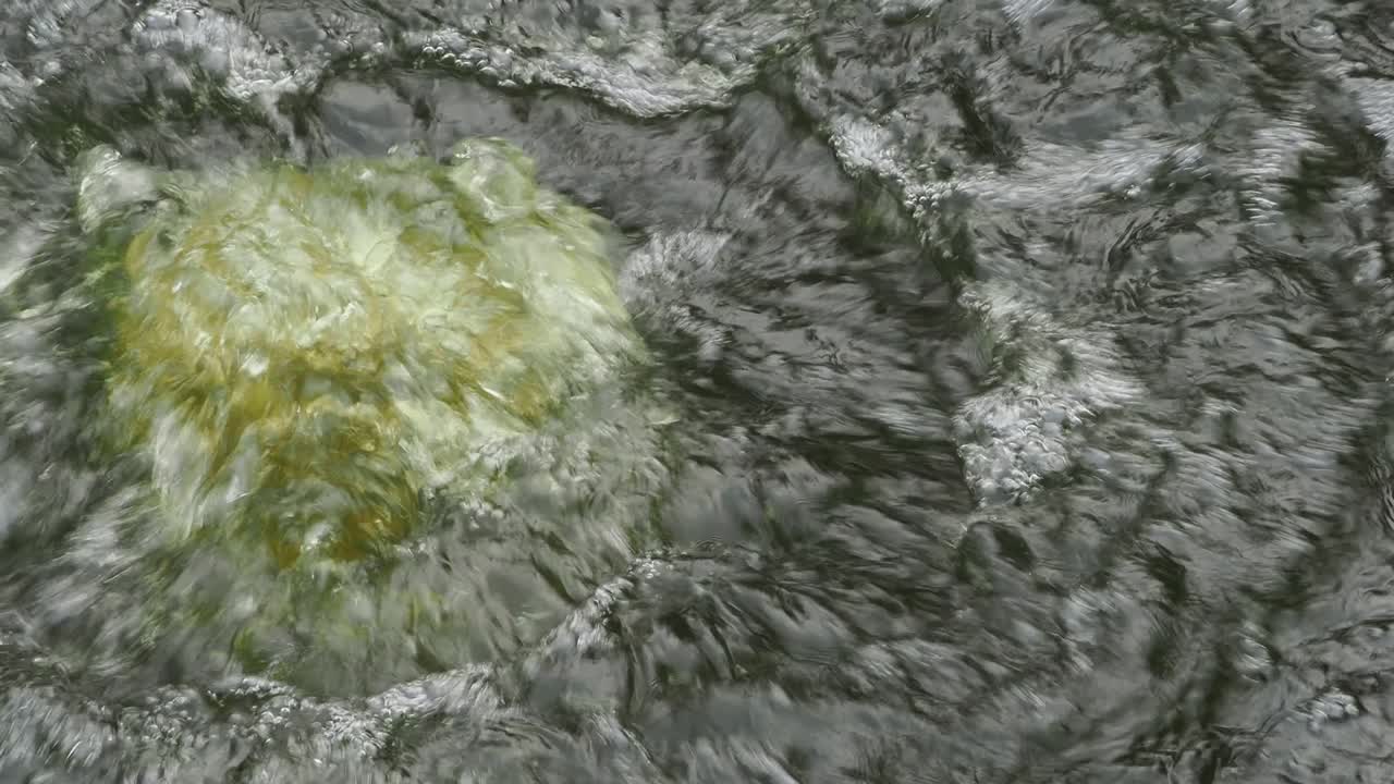 거품을 형성하는 물 거품, 물 표면에서 거품이있는 약한 물 제트, 거품 게이저