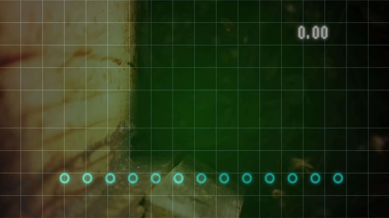 Interface opening showing green grid with blue circles plotting histogram columns counting values