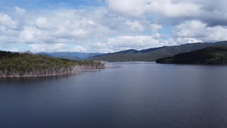 scenic flight towards the banks of a lake littered with dead trees