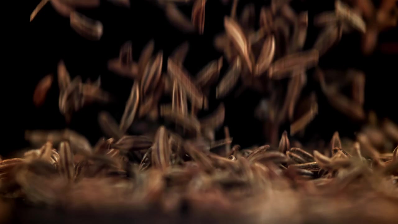 Cumin Seeds Falling in Slow Motion on a Black Background