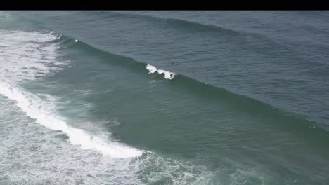 man surfer surfing perfect ocean waves drone aerial shot