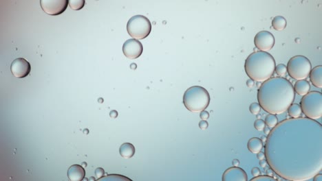 colorful artistic of oil drop floating on the water.