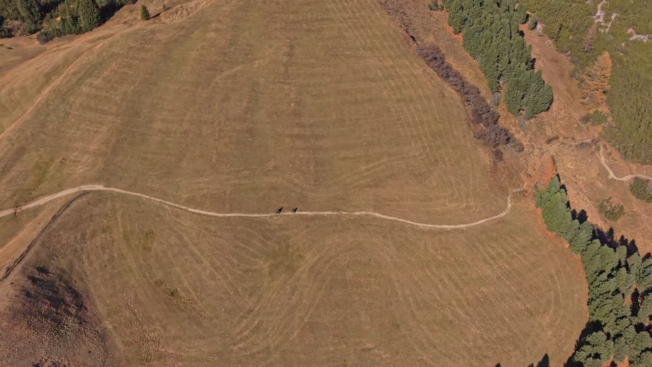 Drone view of hikers on autumn trails in Passo Gardena, Dolomites, Italy