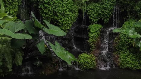 tropical waterfall garden