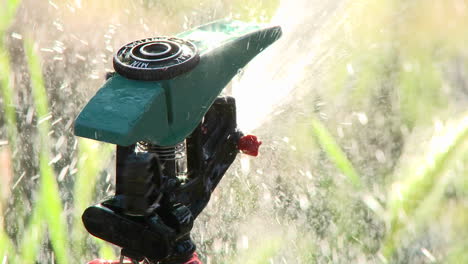 closeup rack focus on a sprinkler spraying water in oak view california