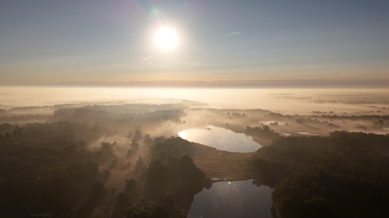 호수와 숲 위의 안개가 가득한 해가 뜨는 것