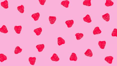 patrón con muchos frescos frambuesas maduras se mueve en un fondo rosado primer plano. bucle sin costuras de alimentos 3d realistas. arte de diseño de stop motion mínimo con espacio de copia para el texto