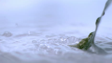 -Leaf-splashing-in-super-slow-motion