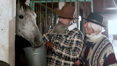 couple taking care of the horse