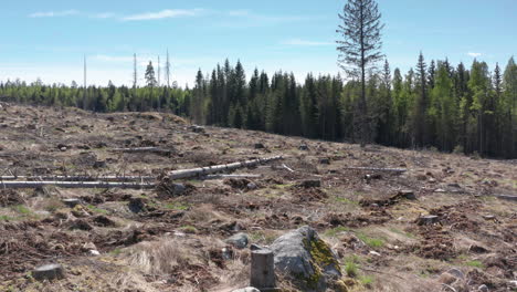 Damaged-landscape-in-Swedish-wilderness,-aftermath-of-logging,-aerial