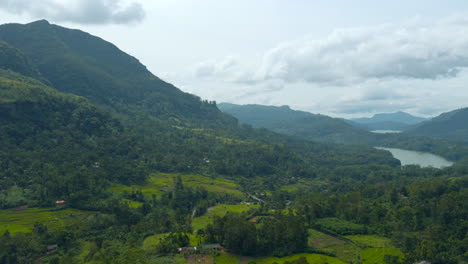 sri lanka mountain valley landscape with rice paddies and lake