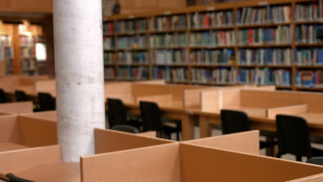 La biblioteca está vacía.