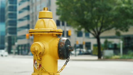 yellow fire hydrant by busy street