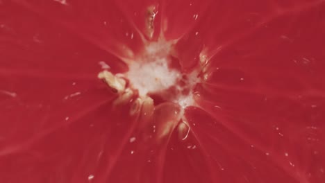 micro vídeo de primer plano de una rebanada de pomelo rojo con espacio de copia