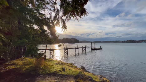 forest pier to floating dock on glassy water to blue sky at sunset