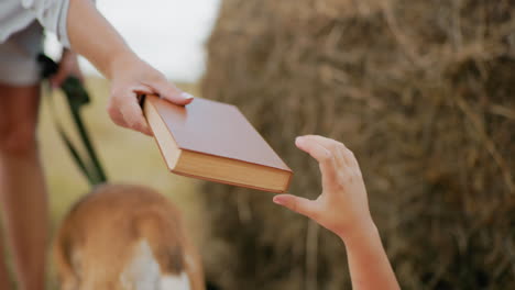 close-up of woman handing over book to someone with dog standing behind, surrounded by vast farmland and hay bale, perfect for capturing moments of outdoor leisure