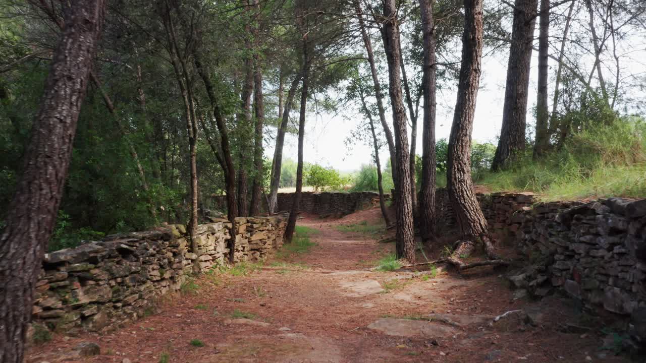 caminando por un hermoso sendero bordeado por un muro de piedra medieval a través de un bosque verde rodeado de campos abiertos