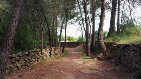 Walking-down-a-beautiful-hiking-trail-lined-with-a-medieval-stone-wall-through-a-green-forest-surrounded-by-open-fields