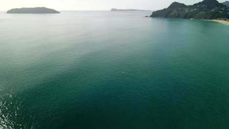 slow-mo aerial shot tracking bird above the ocean