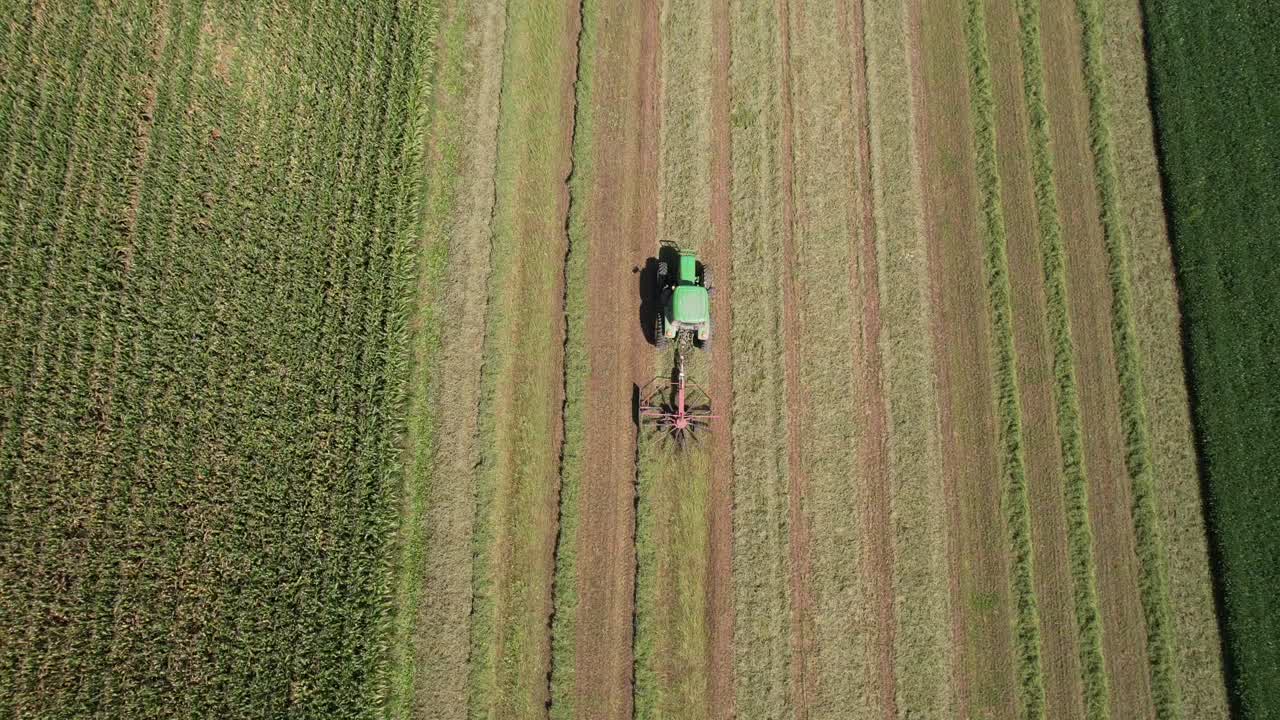 Su un campo agricolo nel Wisconsin sudoccidentale, un contadino rastrella il fieno usando un ranghinatore rotativo per fieno-3.