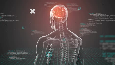 animación del cerebro humano con cuerpo y procesamiento de datos sobre fondo oscuro