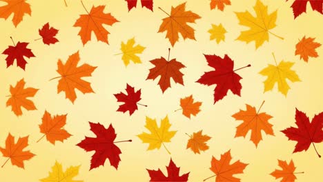 a vibrant background of colorful falling autumn maple leaves
