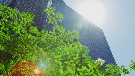 bnp tower behind green branches