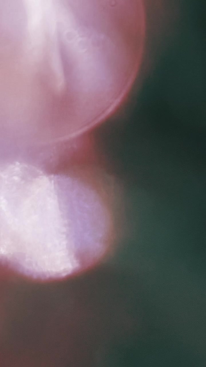 Abstract Light Leaks and Bokeh Effects on Dark Background