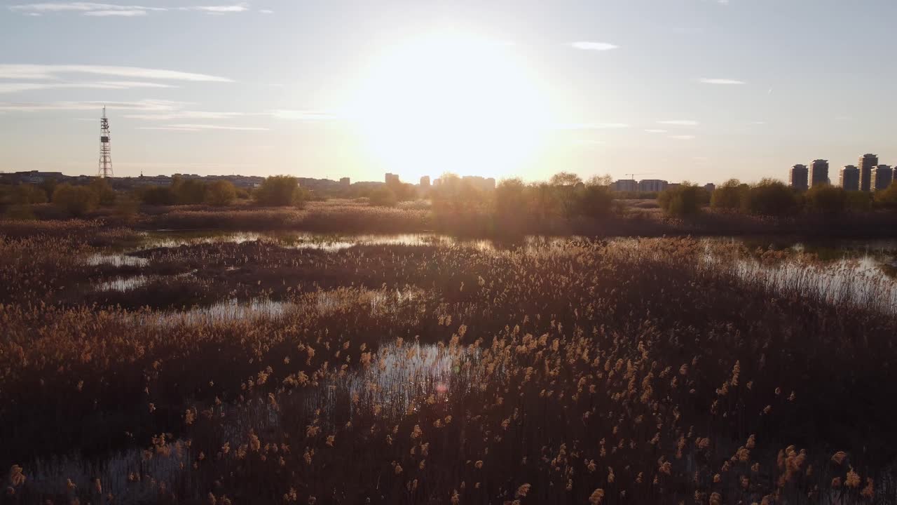 Aerial View Of Delta Vegetation Near City At Sunset