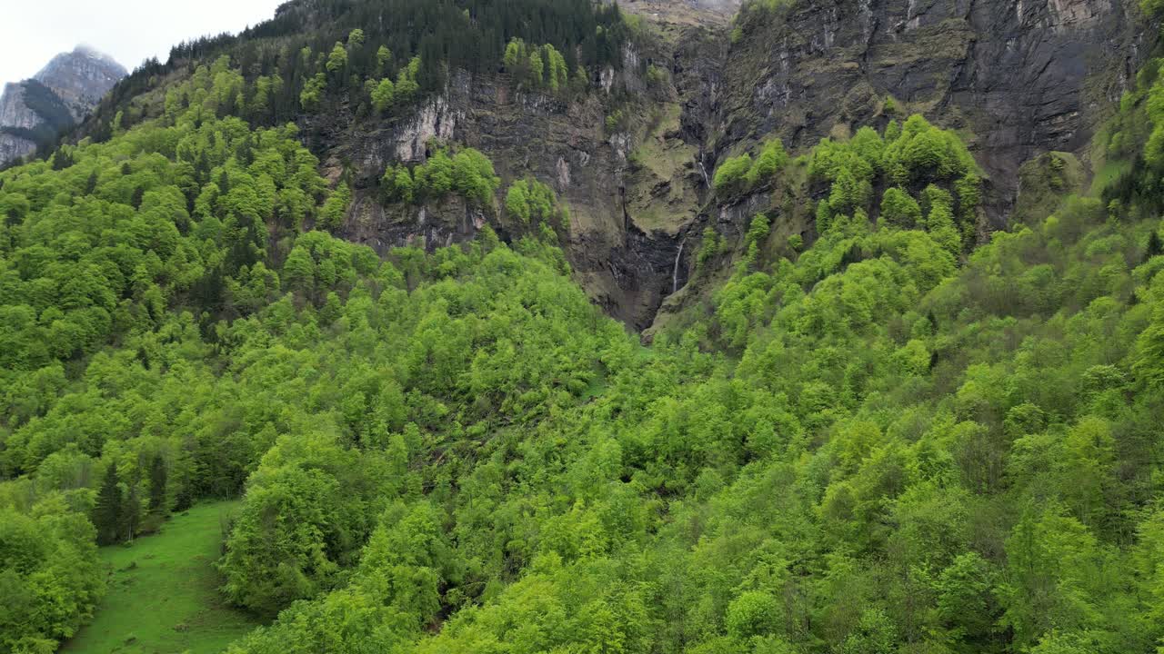 una exuberante vegetación verde impresionante en el paisaje alpino rocoso de suiza