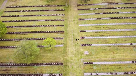 people walking over a graveyard