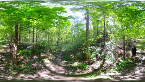 clip de 360 vr de un hombre caminando por un bosque