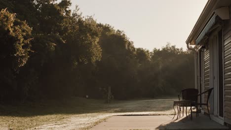 suburban backyard at sunrise with patio