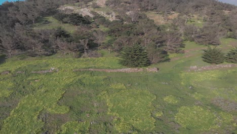 Aerial-backward-ascending-tilt-up-reveal-of-Pico-do-Facho,-Portugal