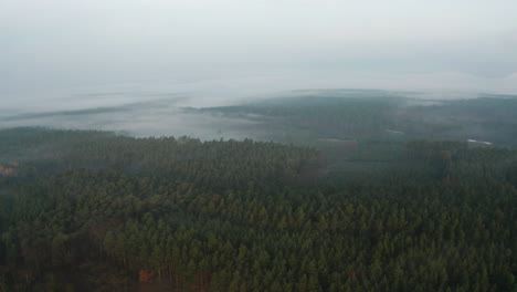 Luftaufnahme-Von-Dichtem-Morgennebel-über-Dichtem-Immergrünem-Wald,-Drohnenaufnahme