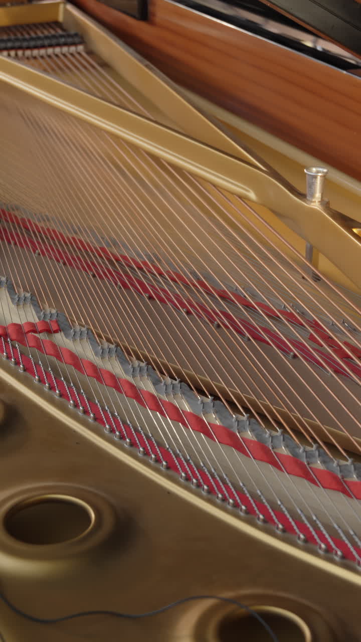 Inside a Grand Piano