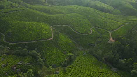 aerial drone shot of munnar’s tea plantations with majestic mountains and misty peaks