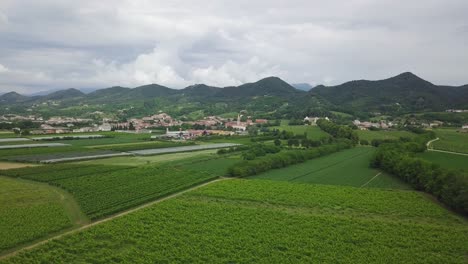 vineyards with rural houses in italy during a cloudy summer day