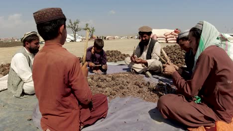 Familie-Putzt-Chilgoza-Nüsse-Auf-Dem-Markt-Von-Khost