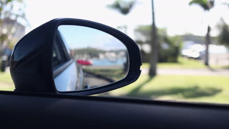 rearview mirror from car new caledonia palm trees