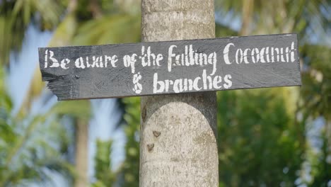 a warning sign urging tourists to be careful of falling coconuts which is nailed onto a palm tree